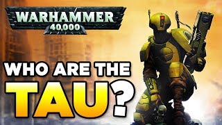 THE TAU  RACE OVERVIEW  Beginners Guide  WARHAMMER 40000 Lore  History [upl. by Amitaf145]