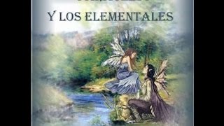 ELEMENTALES  PARACELSO [upl. by Ellehsyt711]