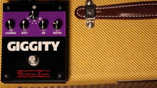 Giggity Overview  The Analog Mastering Preamp for Guitar [upl. by Yekcim788]