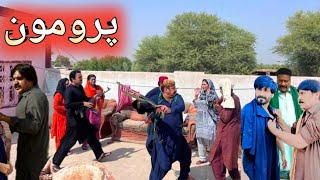 Making Video Dulaab Drama Promo Review  SINDHI New Drama Dulab Coming Soon Review [upl. by Secor]