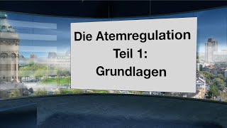 Wie funktioniert die Atemregulation Welche Rolle spielen CO2 O2 Muskeln Gefühle und Gedanken [upl. by Mehetabel]