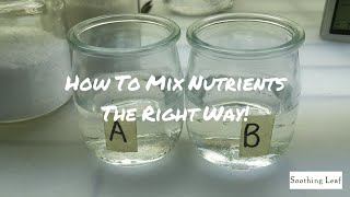 How To Mix Hydroponic Nutrients THE RIGHT WAY  For Best Results [upl. by Rina]