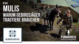 Funkkreis 141 Wann Gebirgsjäger Mulis brauchen  Bundeswehr [upl. by Brill]