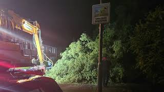 Harde wind veroorzaakt omvallende bomen en veel takken 130824 [upl. by Thatch426]