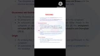 Ribosomes Function of Ribosomes Cell Biology BSc 2 Sem Zoology SDSU [upl. by Noll]