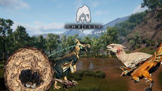 So Many Nests  The Great Hypsi Colony Part 4  Hypsilophodon Gameplay  The Isle Evrima [upl. by Chenee]