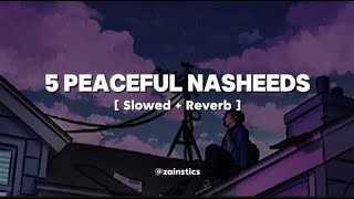 5 Peaceful Nasheeds ✨  Slowed  Reverb  Zainstics [upl. by Sajet208]