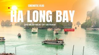 Halong Bay Vietnam 2024  Vietnam Memories  Track 3 [upl. by Esther]