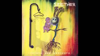 Seether  See You at the Bottom Explicit [upl. by Aivartal]