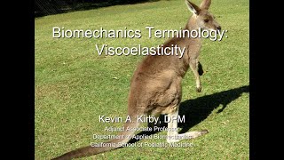 Biomechanics Terminology Viscoelasticity [upl. by Treve]