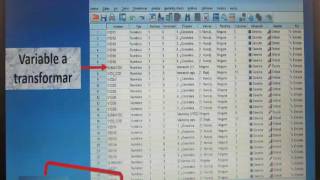 Baremo en SPSS [upl. by Tresa]