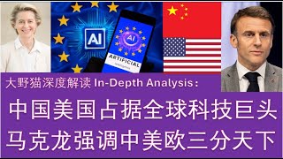 野猫论政 1731：马克龙  中国美国占据全球科技巨头，太疯狂了！法国应当引领欧洲与中美三分天下 [upl. by Eppesuig52]