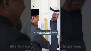 UAE Indonesian Presidents Witness Announcement of Bilateral Agreements MoUs [upl. by Amersham121]