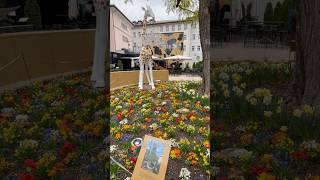 bolzano italy 🇮🇹 Subscribe for more full videos ⬇️📲 [upl. by Aihsirt]