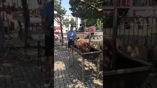 Rooooaassstedd Suckling Pig at Sao Joao Porto Portugal [upl. by Suirauqed]