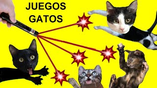 Juegos para gatos con Luna y Estrella y los gatitos en la casa  Videos de animales graciosos [upl. by Aikas]