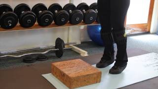 Calf Muscle Exercises With Ankle Weights  Simple Functional Exercises [upl. by Eberly]