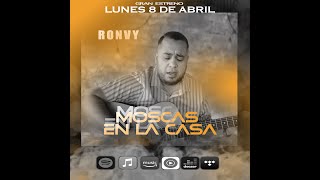 SHAKIRA  MOSCAS EN LA CASA Cover por ronvy [upl. by Nailluj640]