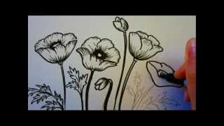 Flower Tutorial  How To Draw Flowers  Poppy Flowers [upl. by Canice505]