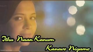 Uyirai Tholaithen Song With Lyrics Kanave Kanave Version2017 [upl. by Kendrick]