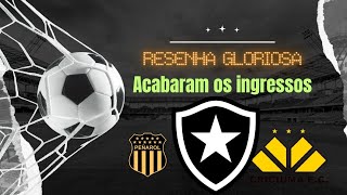 Torcida do Botafogo dá show esgota ingressos na Liberta e põe 50000 contra Criciúma no Maracanã [upl. by O'Donoghue]