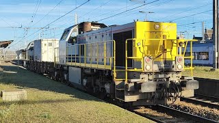 NMBS SNCB Treinen In Schaarbeek station Klaxons 06102024 amp 29112024 [upl. by Naamana]