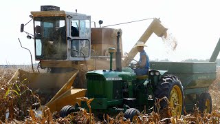 Vintage Combines harvesting Corn at Half Century of Progress Show 2023  Part 2  Lots of Combines [upl. by Nerahs315]