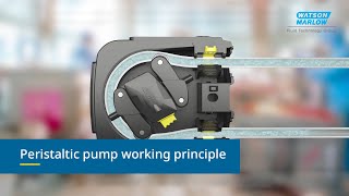 How do peristaltic pumps work Industrial  WMFTS [upl. by Weissmann563]