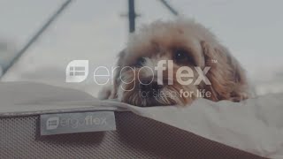 How does the Ergoflex memory foam mattress compare [upl. by Hazeefah]