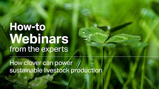 Webinar How Clover Can Power Sustainable Livestock Production [upl. by Doughman]