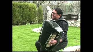 Slobodan Bozinovic Kralj vlaske muzike [upl. by Ikaz516]