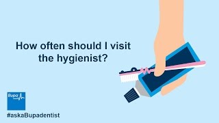 How often should I visit the hygienist  Bupa Health [upl. by Onofredo136]