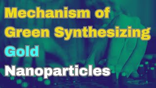 Mechanism of Gold nanoparticles synthesis through green methodGreen Synthesis Microbial Synthesis [upl. by Pelletier]