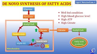 4 De Novo synthesis of Fatty acid  Lipid metabolism4  Biochemistry  NJOY Biochemistry [upl. by Anagrom]