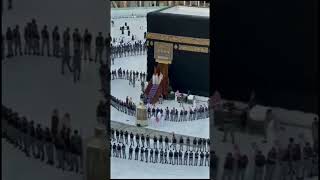 Labbaik Allahumma Labbaik। Hajj। Mucca। Madina 🥀 shortsfeed shorts hajj youtubeshorts 🥀 [upl. by Ahseinek]