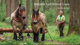 Holzrücker  Waldarbeit mit Pferden [upl. by Sudoeht]