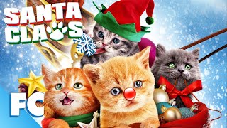 Santa Claws  Full Family Christmas Cat Movie  Family Central [upl. by Trev]