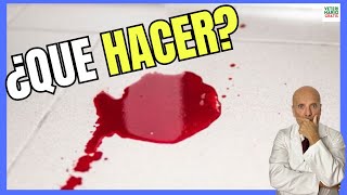 🔴¿Qué Hacer si mi PERRO ORINA SANGRE 🔴 [upl. by Adnwahsat]