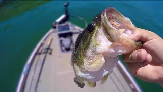 This is Why I Love Summer Bass Fishing on Clear Lake [upl. by Elaval46]