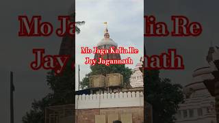 Mo Jaga KaliarePatitapabana BanaDarshanShortsfeed JagannathdhamPuriOdishaviralvideodevotional [upl. by Benni]