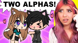 The Alpha Marked Another Alpha 🐾 Gacha Life Mini Movie [upl. by Ahsekahs]