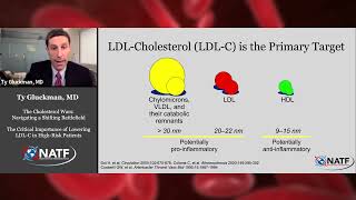 The Cholesterol Wars The Critical Importance of Lowering LDLC in HighRisk Patients [upl. by Teragram923]