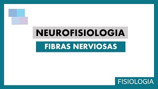 NEUROFISIOLOGÍA  Fibras nerviosas [upl. by Eugenides591]