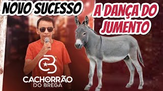 MÃšSICA NOVA DE CACHORRÃƒO DO BREGA DANÃ‡A DO JUMENTO SUCESSO EXCLUSIVO [upl. by Okubo]