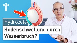 Hydrozele Hodenschwellung durch Wasserbruch [upl. by Ramedlaw771]