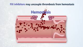 Emerging Solutions for Safer Anticoagulation Why Factor XI [upl. by Sheya]