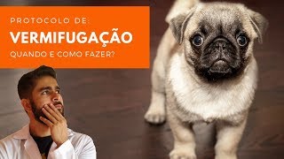 VERMIFUGAÇÃO  SAIBA COMO E QUANDO VERMIFUGAR SEU CÃO E GATO  DESVERMINAR [upl. by Mundford]