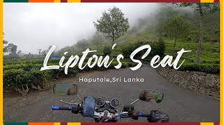 Discovering Liptons Seat A Stunning View of Sri Lankas Tea Country [upl. by Lorens237]