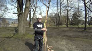 Footlocking  Advanced tree climbing techniques [upl. by Oreste]