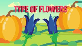 The Diversity and Pollination of Flowers [upl. by Freeland755]